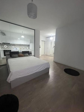 Corporate One Room Pipera